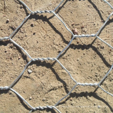 Galvanized Hexagonal wire mesh/Chicken wire cage Poultry Netting